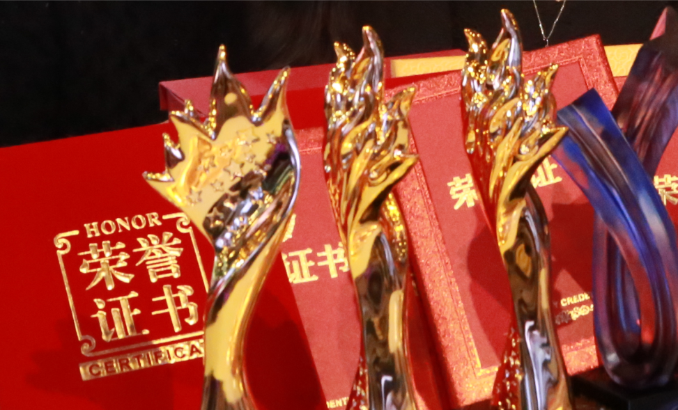 领航国际官方网站图片