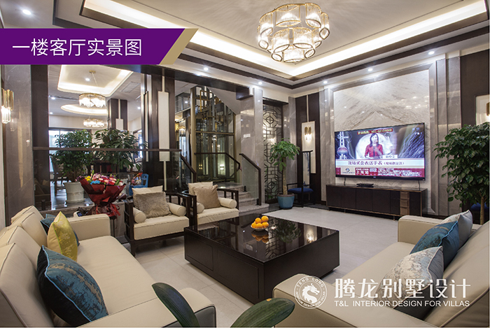 领航国际官方网站图片