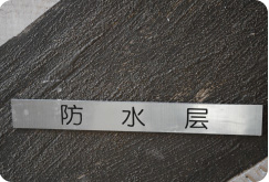 领航国际官方网站图片