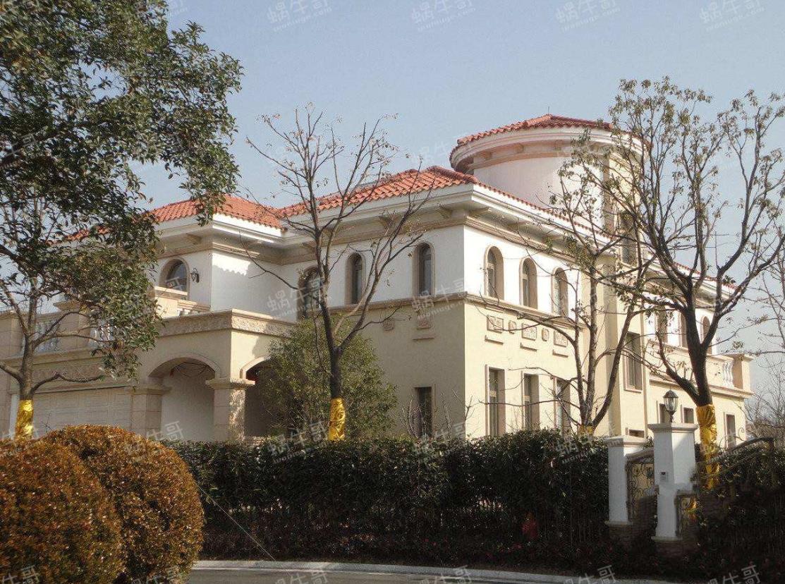 领航国际 09452