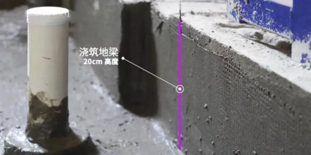 领航国际官方网站图片